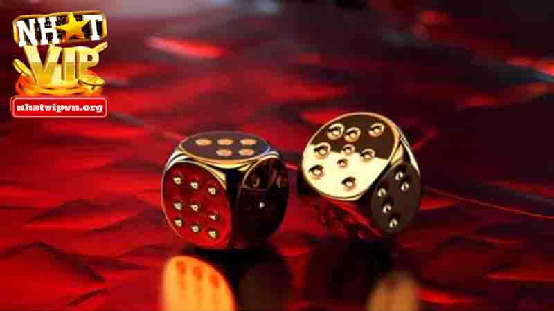 Bật mí cách đọc cầu tại Nhatvip