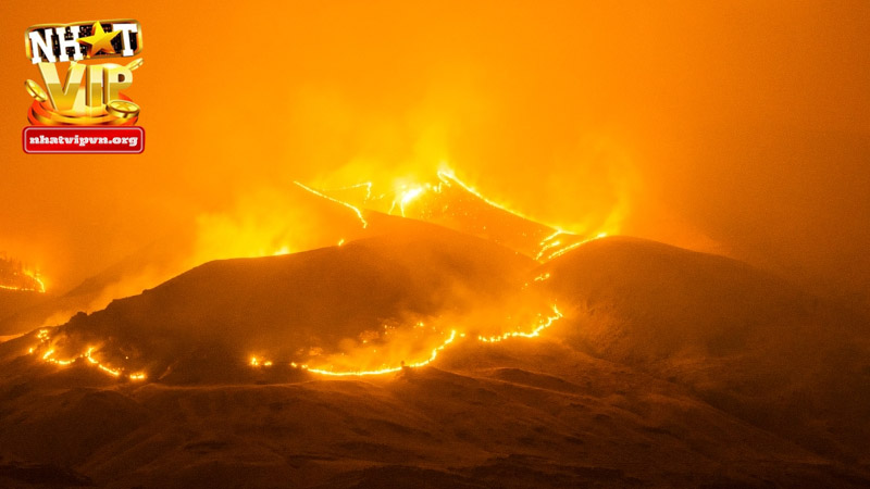 Kiến giải một vài giấc mộng thường gặp