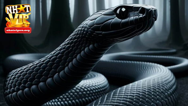 Tìm hiểu nằm mơ thấy rắn đánh con gì dễ trúng?