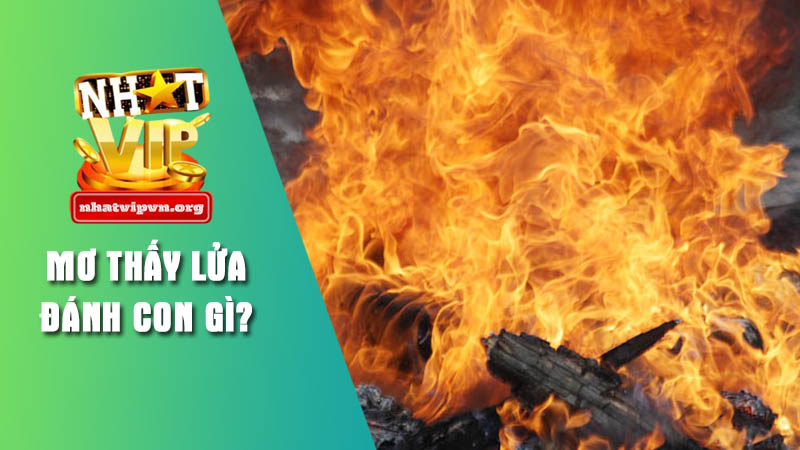 Ý nghĩa tổng quát khi anh em Nhatvip mơ gặp lửa