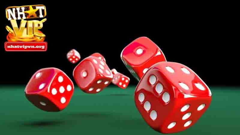 Yếu tố nào tác động tới kết quả từ chuyên gia Nhatvip